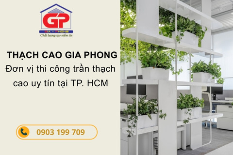 13+ mẫu thiết kế nội thất văn phòng xanh, khơi nguồn sáng tạo