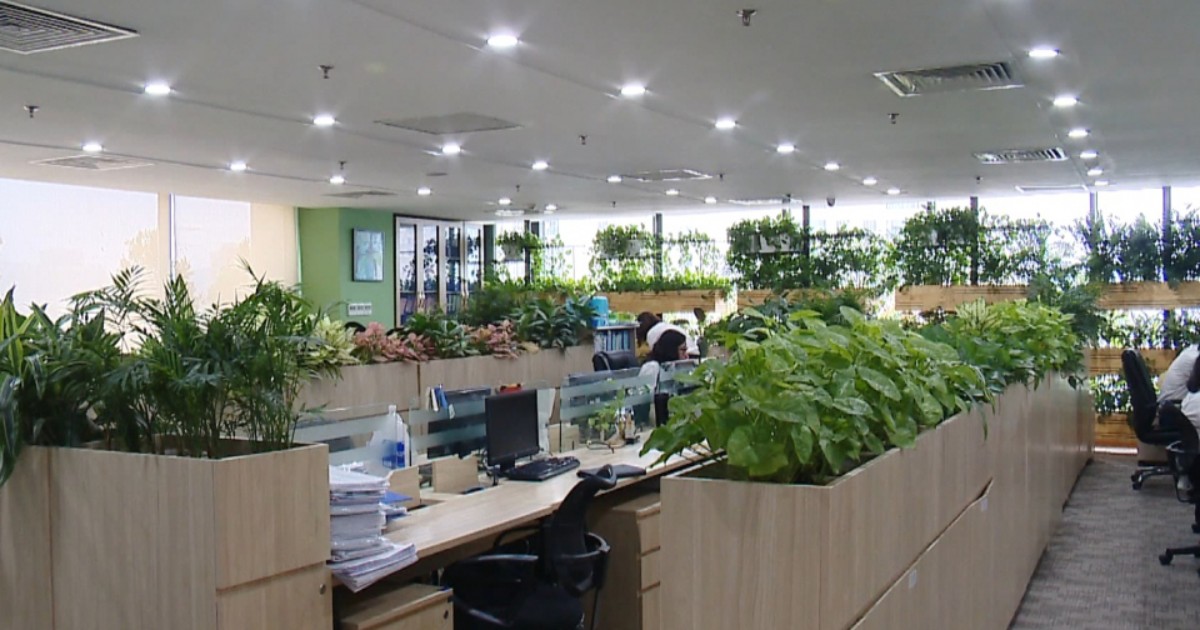 Setup văn phòng xanh