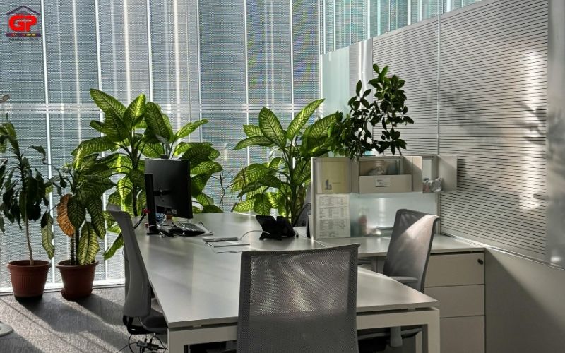 Thanh lý bàn ghế văn phòng cũ, tủ hồ sơ đa dạng mẫu mã với mức giá thu mua cạnh tranh nhất