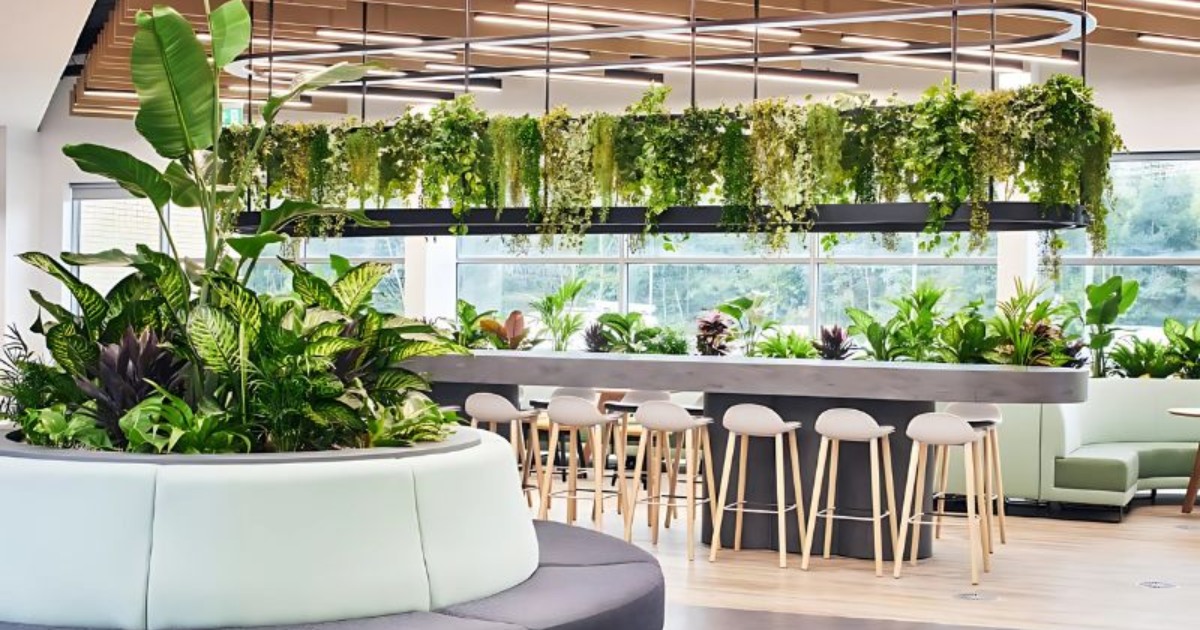 Thiết kế với vườn mini cây xanh