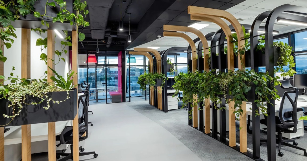 15+ mẫu cây cảnh trang trí văn phòng đẹp