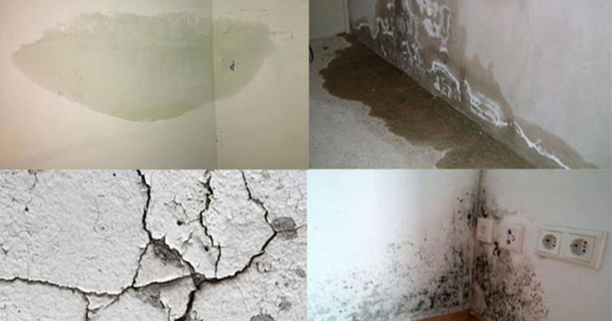 Nguyên nhân gây thấm dột