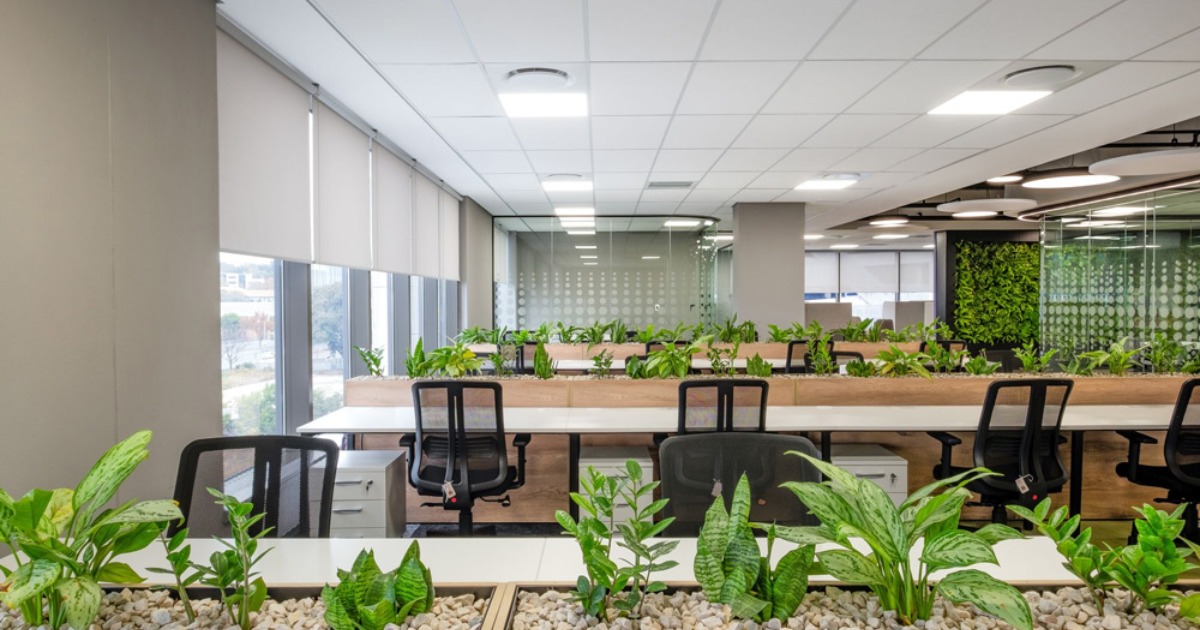 Mẫu thiết kế văn phòng xanh với giếng trời