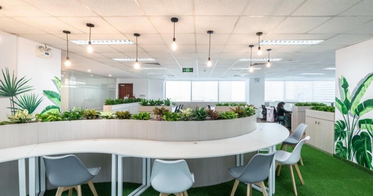 Mẫu thiết kế văn phòng xanh mộc mạc