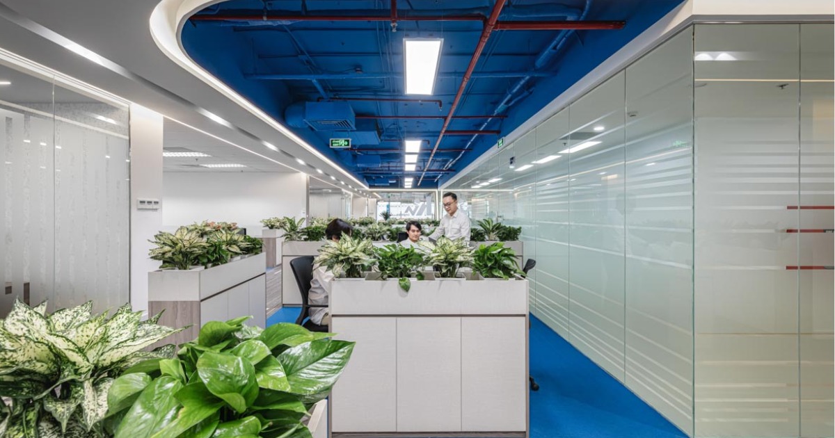 Mẫu thiết kế văn phòng xanh bằng giá treo cây xanh