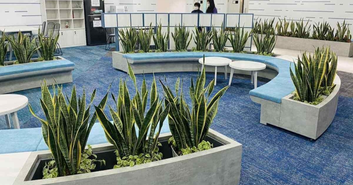 Mẫu thiết kế văn phòng xanh theo không gian mở