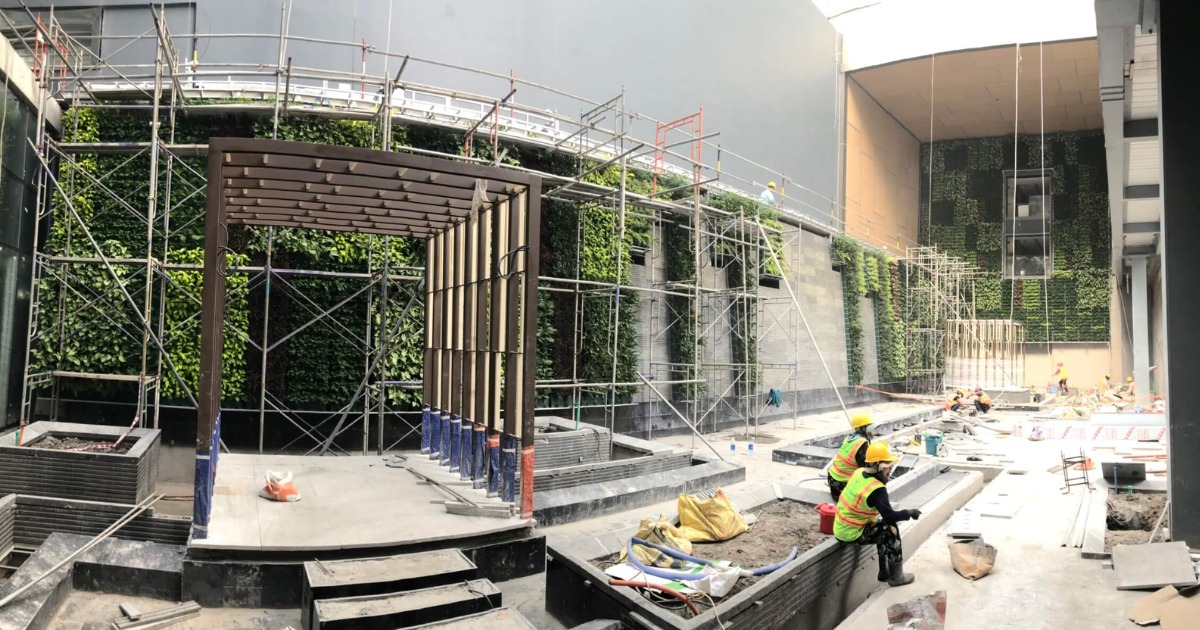 Văn phòng xanh sinh thái tường cây